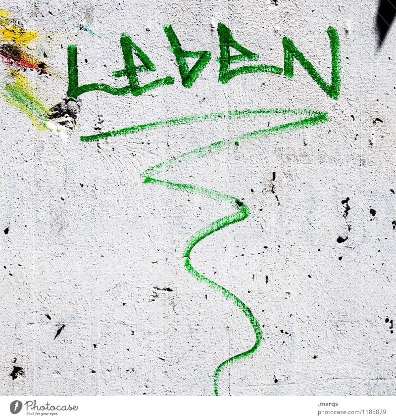LebeN Mauer Wand Graffiti trashig grau grün weiß Leben lebhaft positiv Farbfoto Außenaufnahme Detailaufnahme Menschenleer Textfreiraum links Textfreiraum rechts