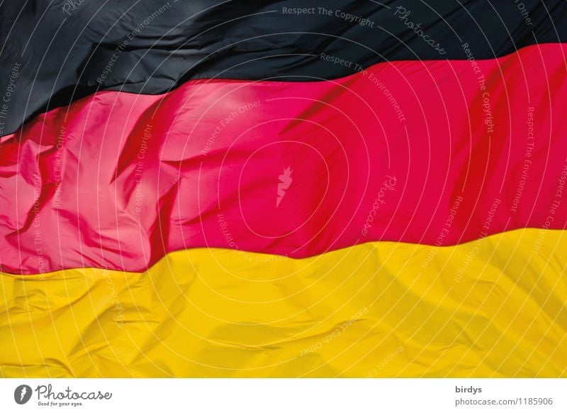 Kontrastreich Deutschland Zeichen Streifen Fahne ästhetisch elegant positiv gold rot schwarz Farbe Identität Politik & Staat Deutsche Flagge formatfüllend