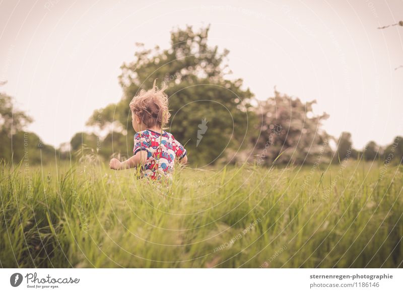 Wups im Gras androgyn Kind Kleinkind Junge Kindheit Leben Haare & Frisuren 1-3 Jahre 3-8 Jahre Natur Locken rennen toben Neugier wild Freiheit
