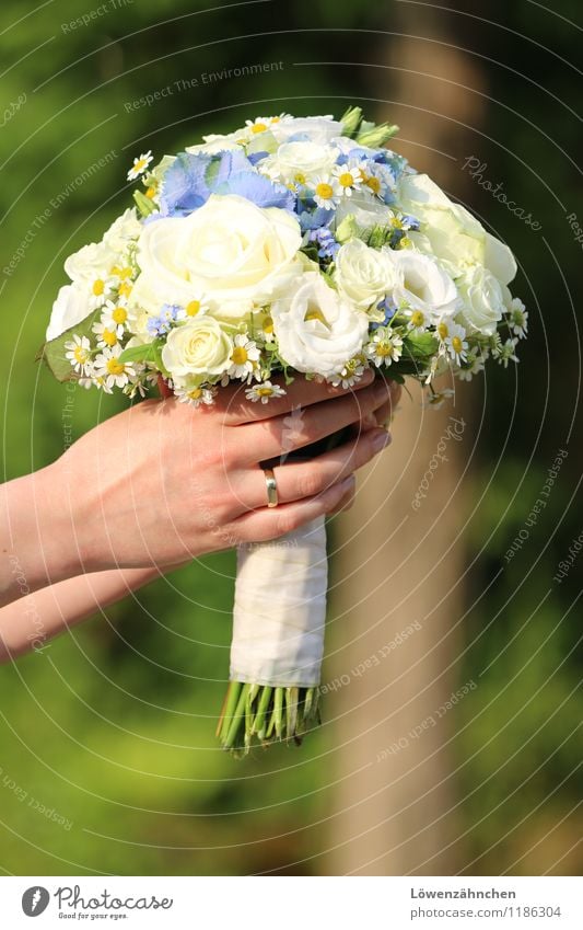 wedding details VI Junge Frau Jugendliche Hand Finger 18-30 Jahre Erwachsene Rosenblüte Kamillenblüten Hortensienblüte Accessoire Ring Ehering Blumenstrauß