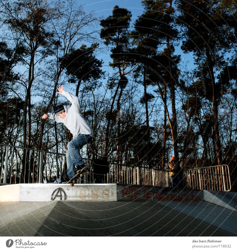 nosegrind Skateboarding Pullover Sportpark Gegenlicht Grinden Zufriedenheit Baum Park kaputt Spielen funbox Schatten einzeln