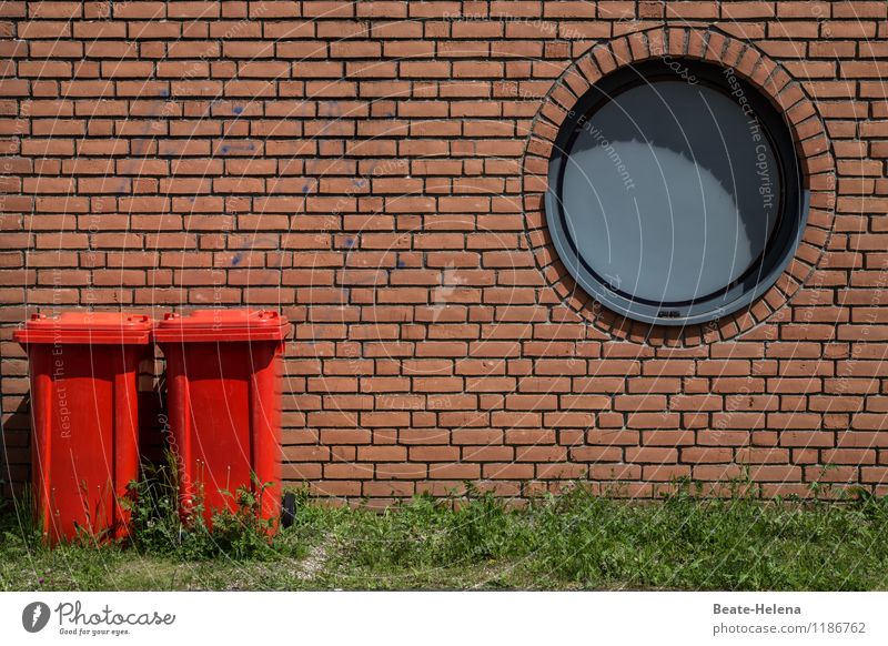 Die roten Zwillinge Haus Mauer Wand Fassade Stein beobachten stehen warten außergewöhnlich Freundlichkeit braun grau grün Zusammensein Gelassenheit Müllbehälter