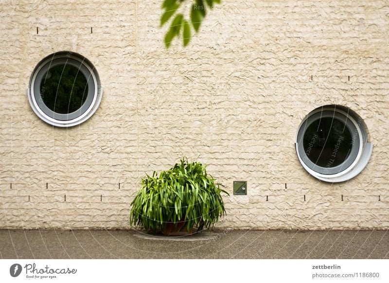 Neo Rauch Haus Gebäude Fenster rund Bullauge Pflanze Grünpflanze Topfpflanze Orangerie Mauer Wand Textfreiraum Menschenleer Architektur modern Rundfenster