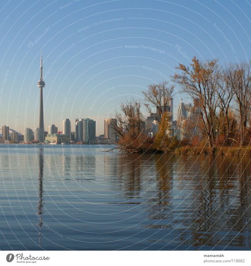 Torontos Skyline bei Tag Hochhaus Haus See Baum Reflexion & Spiegelung Herbst Wellen Vogel CN Tower Wasser blau Küste Insel Toronto Island Idylle Himmel