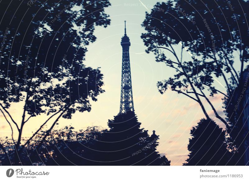 Paris, Baby! Hauptstadt einzigartig Frankreich Tour d'Eiffel Baum rosa hell-blau Mobilität Urlaubsfoto Tourismus Mitte schön Romantik Aussicht Sightseeing