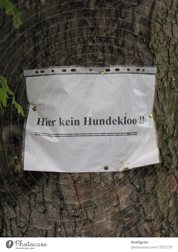 Hier kein Hundekloo!! Umwelt Natur Pflanze Baum Schriftzeichen Hinweisschild Warnschild hängen Kommunizieren eckig einzigartig Stadt braun schwarz weiß Gefühle