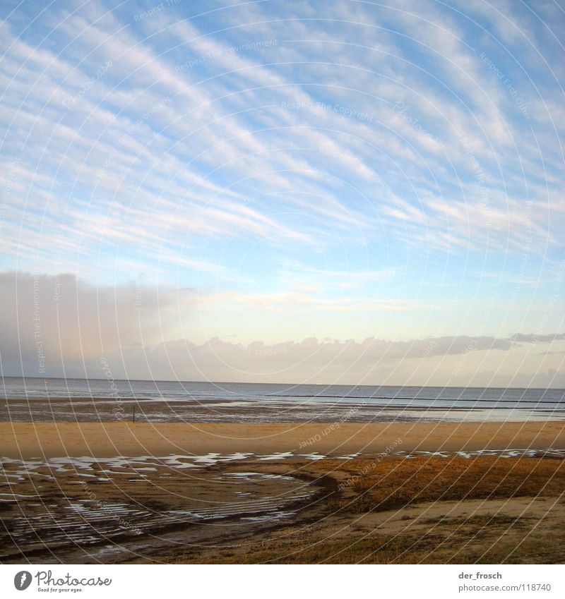 geniusstrand Meer Strand Wolken Gras grün Sonne Wattenmeer Schlick Wilhelmshaven Winter Küste Himmel Nordsee Wind blau Klarheit Sand
