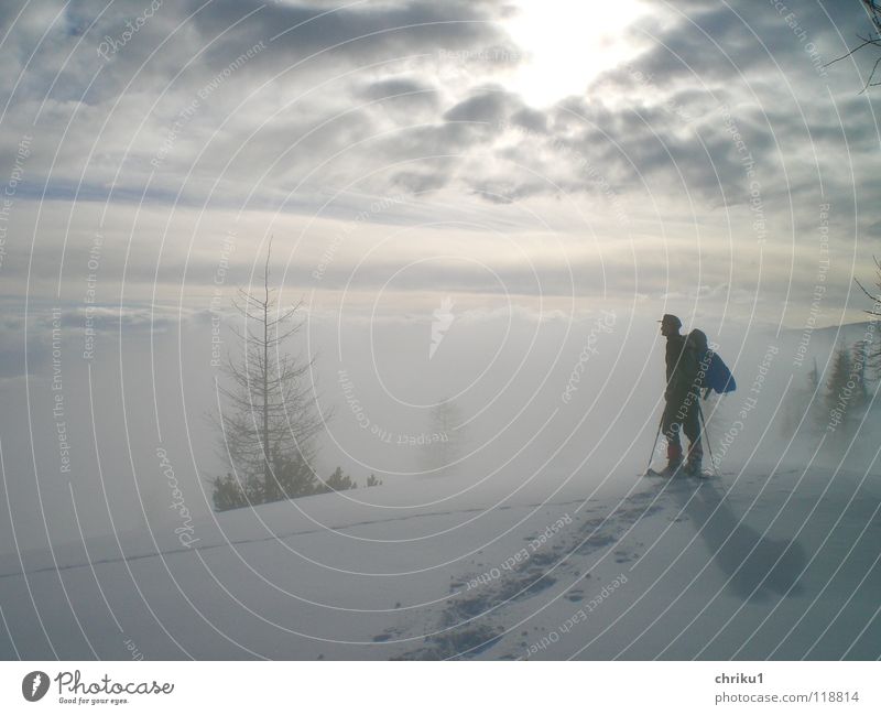 Nebelstille Bergsteigen Schneeschuhe Wintersport Schneespur wandern Mann Baum ruhig Einsamkeit Hochnebel Wolken Berge u. Gebirge Alpen Klobenjoch Mensch