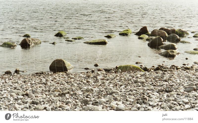 Steine Rügen Meer grün Ostsee Wasser