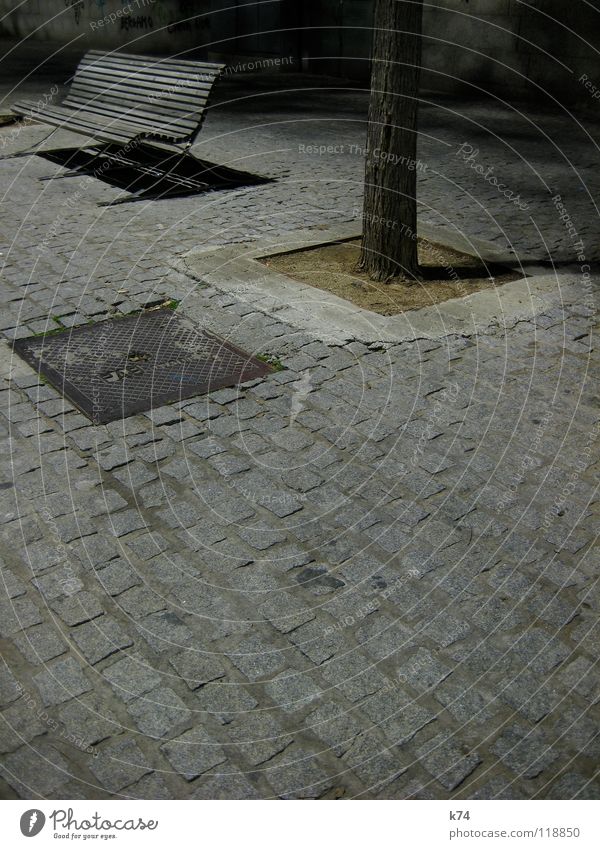 Barcelona Hafen grau Nacht Kopfsteinpflaster Baum leer hart ruhig Einsamkeit Außenaufnahme Bank Traurigkeit