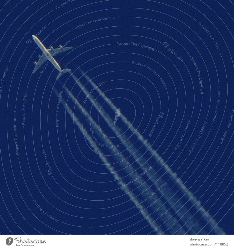 (Fernweh) Wolken machen Flugzeug Wasserdampf Spuren Streifen Richtung weiß Luft Ferien & Urlaub & Reisen Zoomeffekt Luftverkehr Himmel blau Linie Flügel