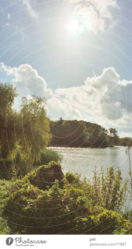 Wasser in Stralsund Teich Natur Pflazen Sonne