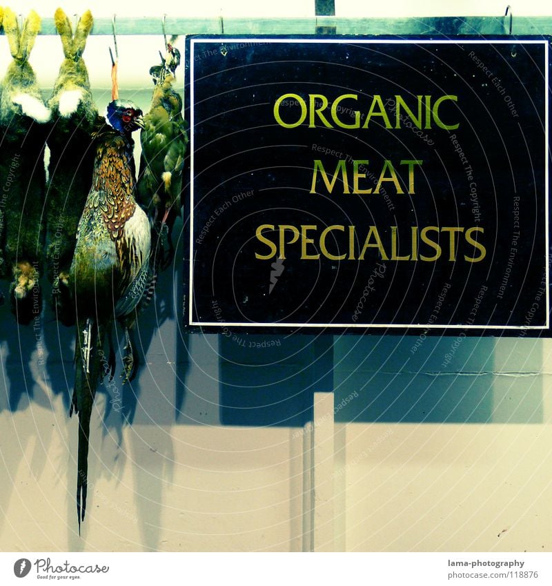 ORGANIC MEAT SPECIALISTS Plakat Metzger Metzgerei Fasan Hase & Kaninchen Schlachthof hängen Wochenmarkt Spezialitäten Fleisch Wurstwaren Schweinefilet Steak