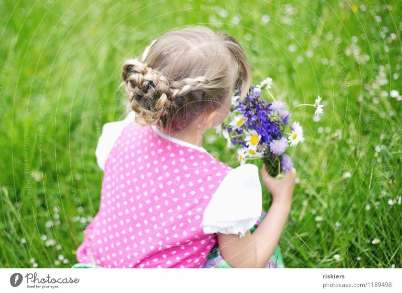 Wiesenkind Mensch feminin Kind Mädchen Kindheit 1 3-8 Jahre Umwelt Natur Frühling Sommer Blume Blumenstrauß entdecken festhalten Blick träumen Fröhlichkeit
