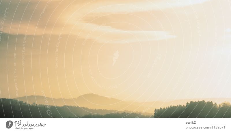Lausitz Umwelt Natur Landschaft Himmel Wolken Horizont Wald Hügel Idylle Ferne Farbfoto Gedeckte Farben Außenaufnahme Detailaufnahme Menschenleer Sonnenlicht
