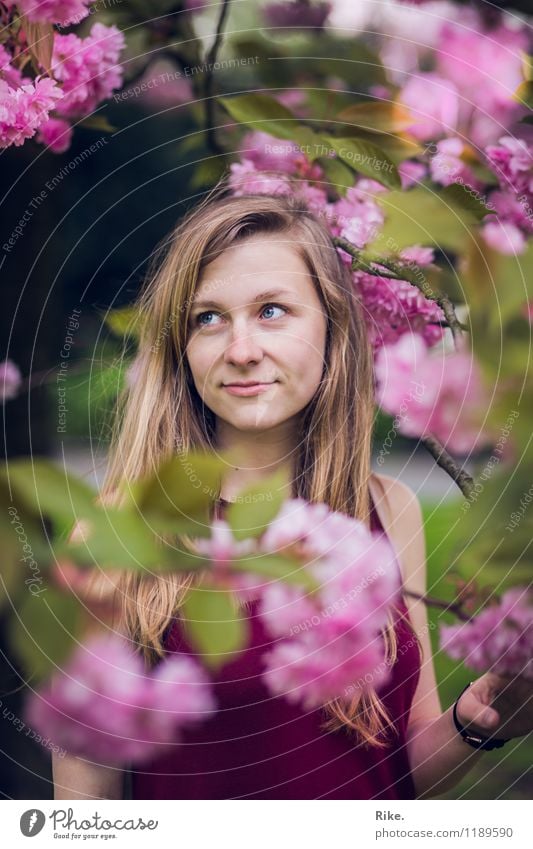 Frühlingsportrait. Mensch feminin Junge Frau Jugendliche Erwachsene Gesicht 1 13-18 Jahre Kind 18-30 Jahre Umwelt Natur Pflanze Sommer Schönes Wetter Baum Blatt