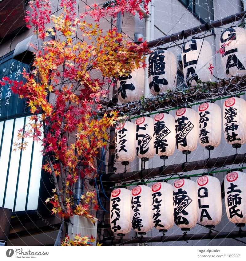 schwer zu verstehen... Kunst Umwelt Natur Pflanze Japan Tokyo Asakusa Kannon Tempel Lampe Lampion Schriftzeichen Japanisch plastikblumen modern Werbung
