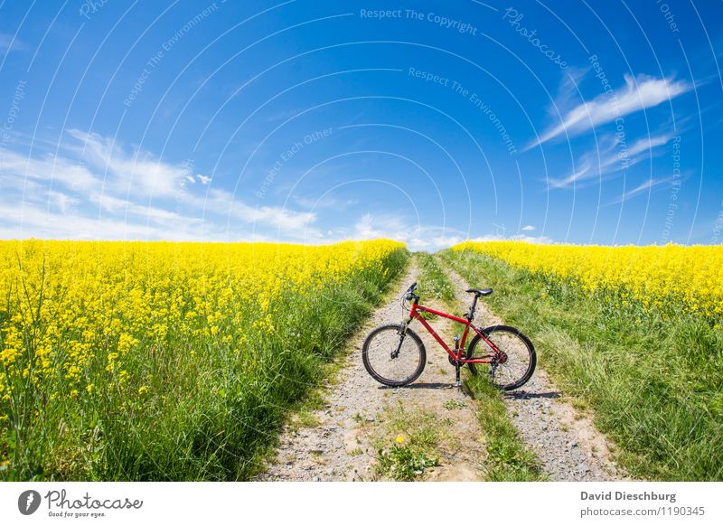 Bikesaison Freizeit & Hobby Ferien & Urlaub & Reisen Fahrradtour Sommer Sommerurlaub Landwirtschaft Forstwirtschaft Landschaft Himmel Wolken Frühling