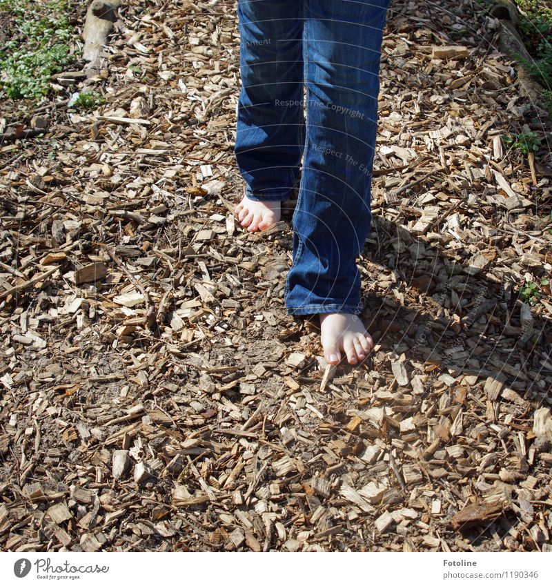 Endlich wieder barfuß! Mensch Kind Kindheit Fuß 1 hell Wärme blau braun Barfuß Barfußpfad Jeanshose jeansblau Jeansstoff Holzspäne Bodenbelag Farbfoto