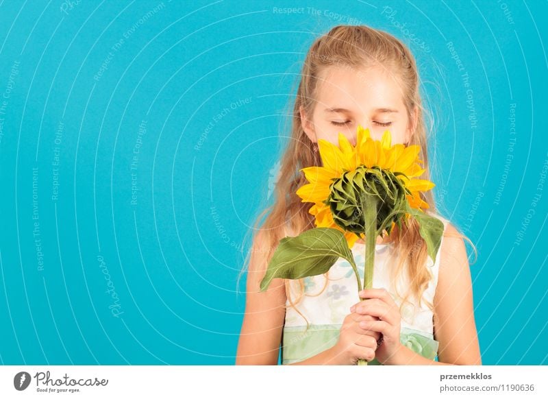 Geruch des Sommers schön Kind Mädchen 8-13 Jahre Kindheit Blüte blond klein blau heiter zugeklappt Auge horizontal eine Frühling Sonnenblume jung riechen