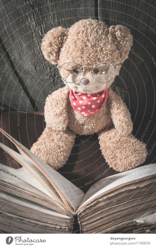 Kinder Teddybär Freude Krankheit Freizeit & Hobby lesen Mensch Mädchen Kindheit Buch Tier Spielzeug Lächeln sitzen klein niedlich weich braun weiß Bär Bildung