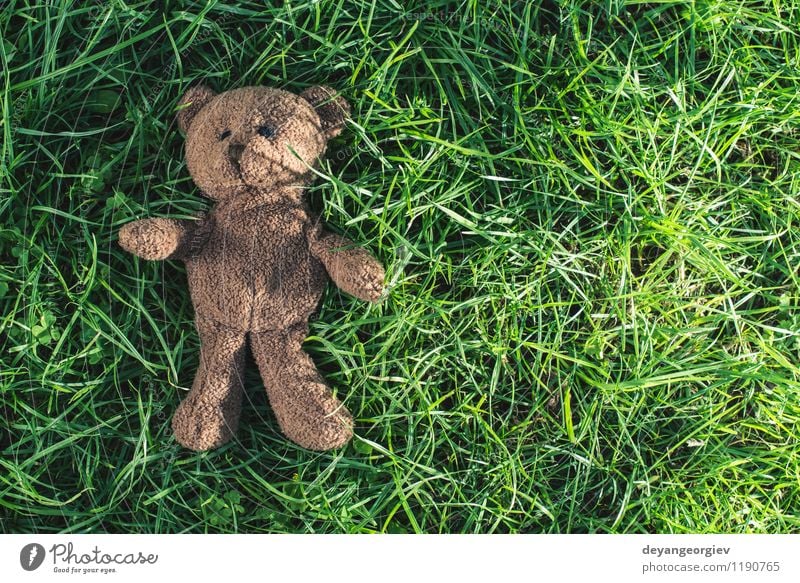 Teddybär auf dem Gras. Freude Dekoration & Verzierung Feste & Feiern Kind Kindheit Tier Park Spielzeug Liebe sitzen natürlich niedlich weich braun gelb grün