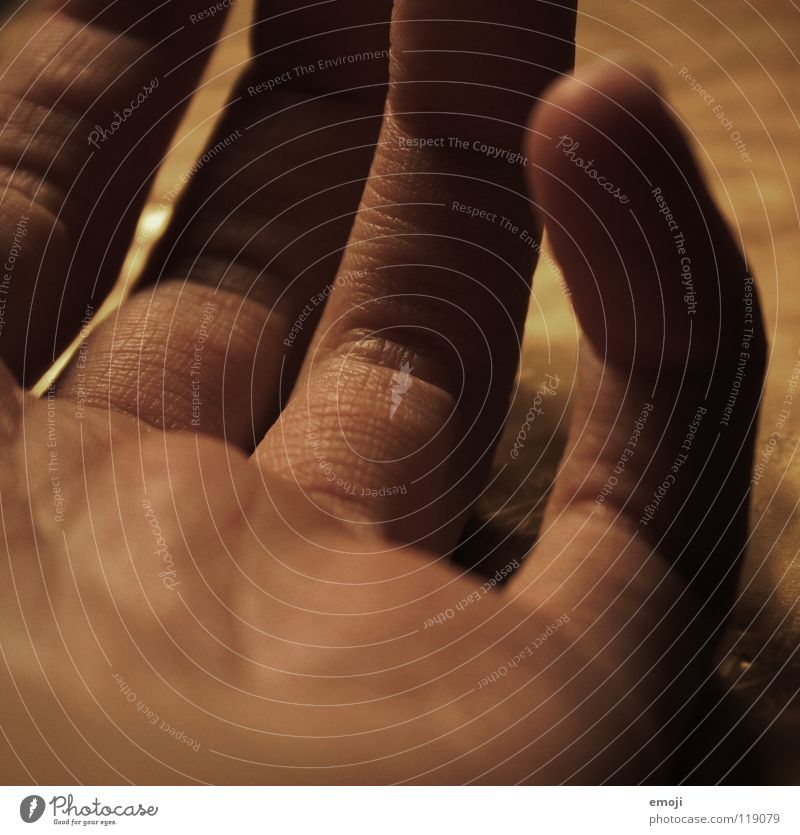 Finger Hand Zeit DNA privat alt gepflegt nehmen Hautfarbe Sense Handwerk fein zart rau Show weich rund Tiefenschärfe nah Makroaufnahme geben Kommunizieren