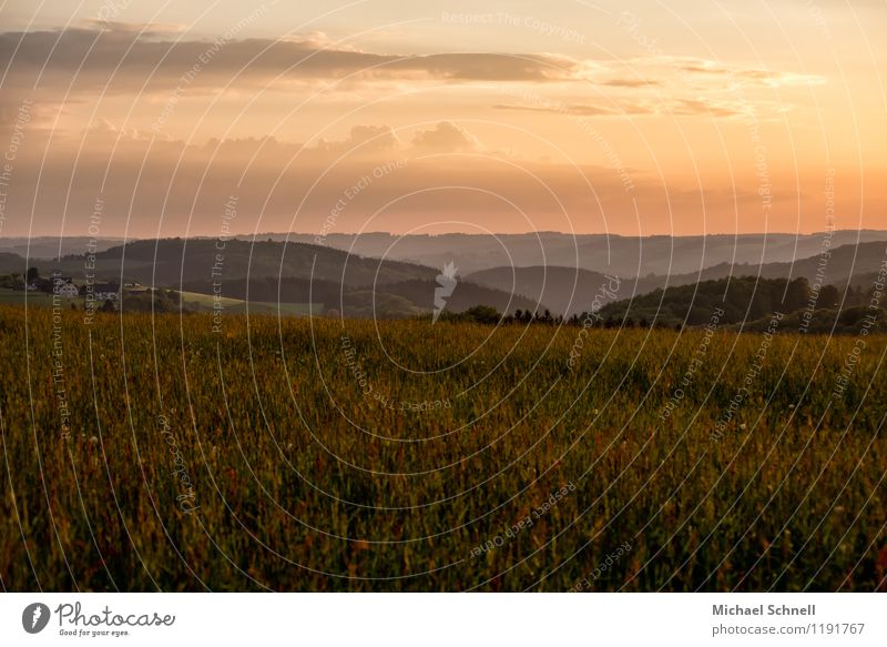 Weite Umwelt Natur Landschaft Sonnenaufgang Sonnenuntergang Hügel Sauerland natürlich Ferne Horizont Farbfoto Außenaufnahme Textfreiraum oben Sonnenlicht