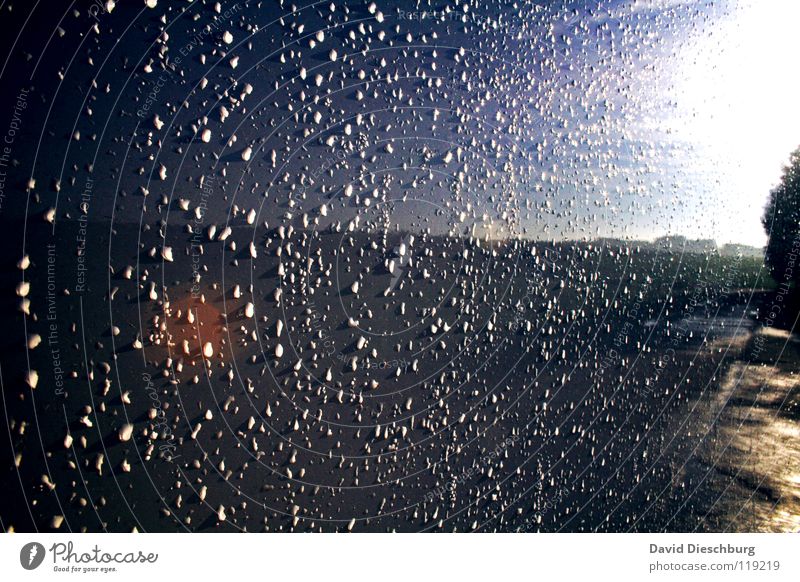 After the storm Wand Spiegel Baum Feld rot schwarz gelb grün Wassertropfen Himmel Regen Wege & Pfade blau Punkt Sonne Erde Schatten Lampe Reflektion Wolkenfrei