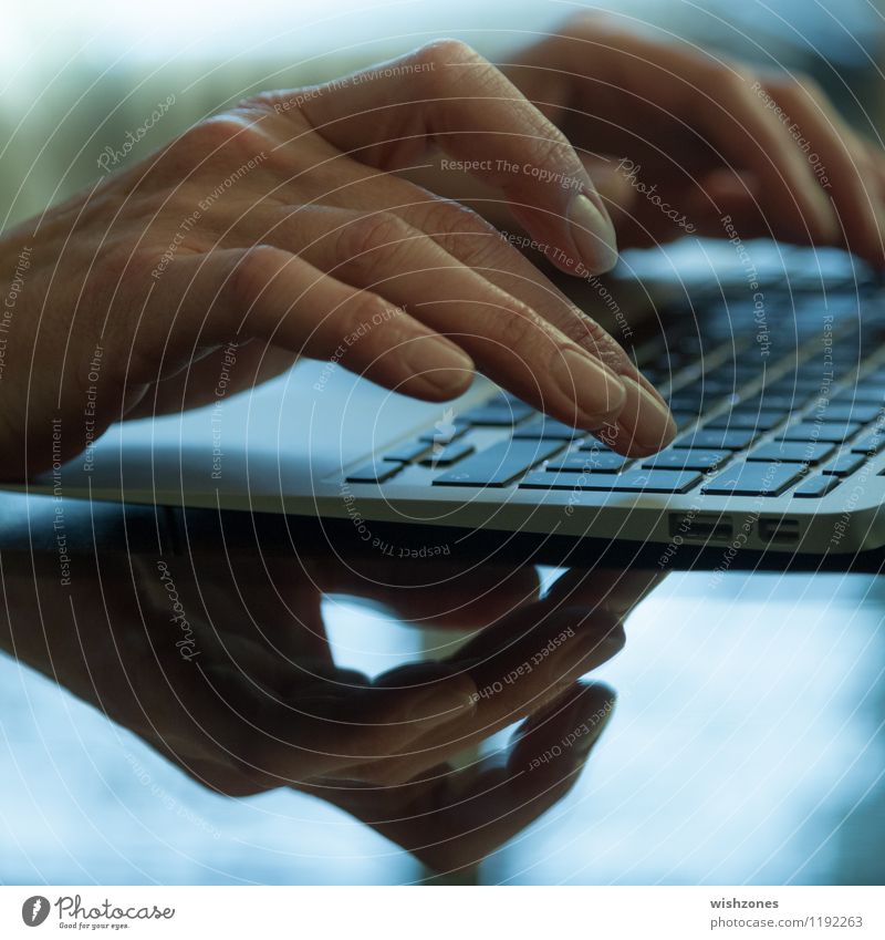 Hands typing on the Keyboard of a Laptop Bildung Erwachsenenbildung Büroarbeit Business Computer Notebook Tastatur Internet schreiben Frau Tippen Frauenhand
