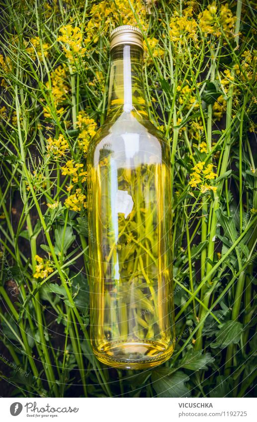 Ein gutes Rapsöl Lebensmittel Öl Ernährung Flasche Stil Design Gesunde Ernährung Natur Rapsblüte Pflanze Fett Gesundheit nativ frisch gelb gold Zutaten