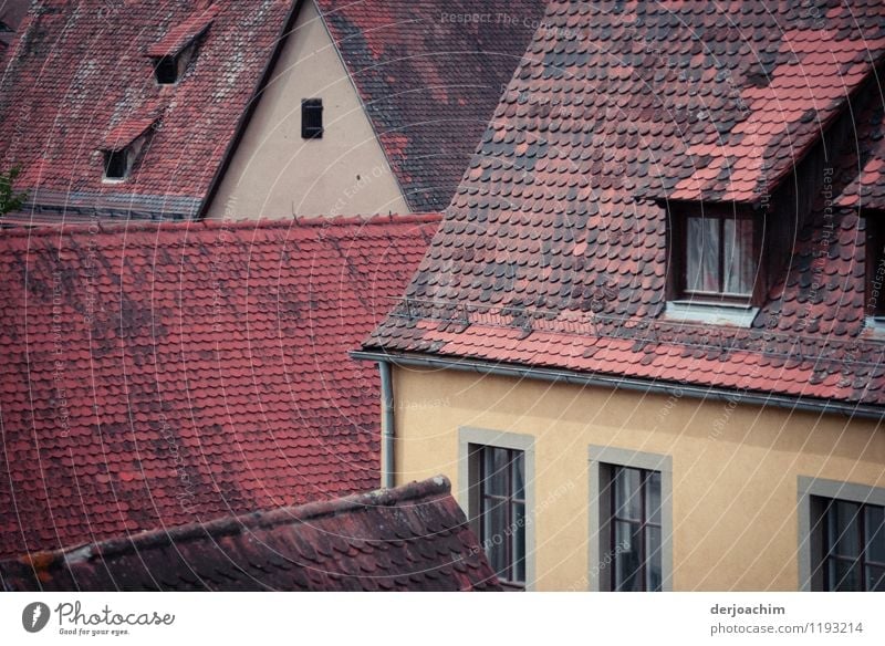 Dach an Dach, stehen die Alten Häuser in Franken. harmonisch Erholung Umwelt Sommer Stadt Bayern Deutschland Kleinstadt Haus Stein beobachten genießen Blick