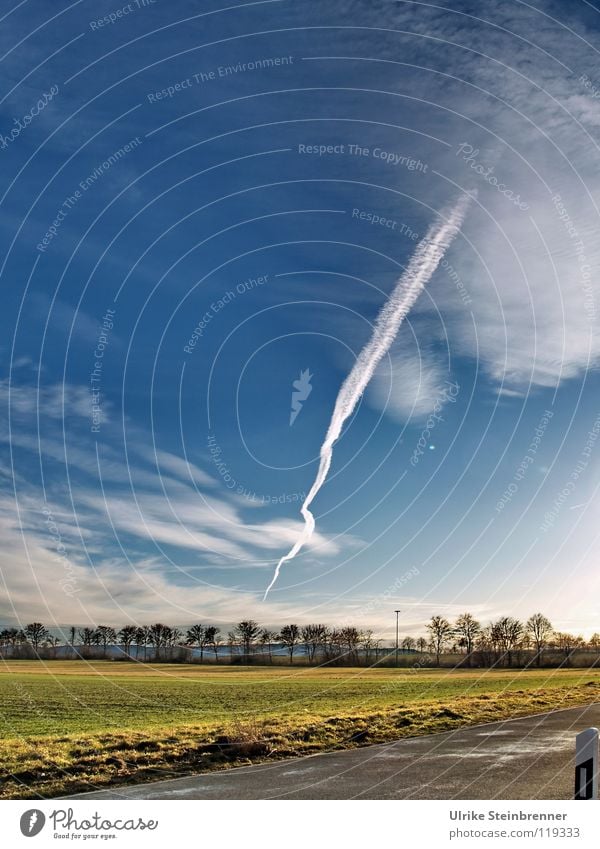 Kondensstreifen über sonniger Landschaft Farbfoto Außenaufnahme Menschenleer Textfreiraum oben Tag Sonnenlicht Schüler Pilot Luftverkehr Himmel Wolken Wind Baum