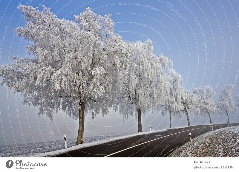 Raureif in der Rechtskurve Winter Schneelandschaft Winterstimmung weiß kalt Straßenrand Straßenbegrenzung Fernstraße Kurve Himmel blau
