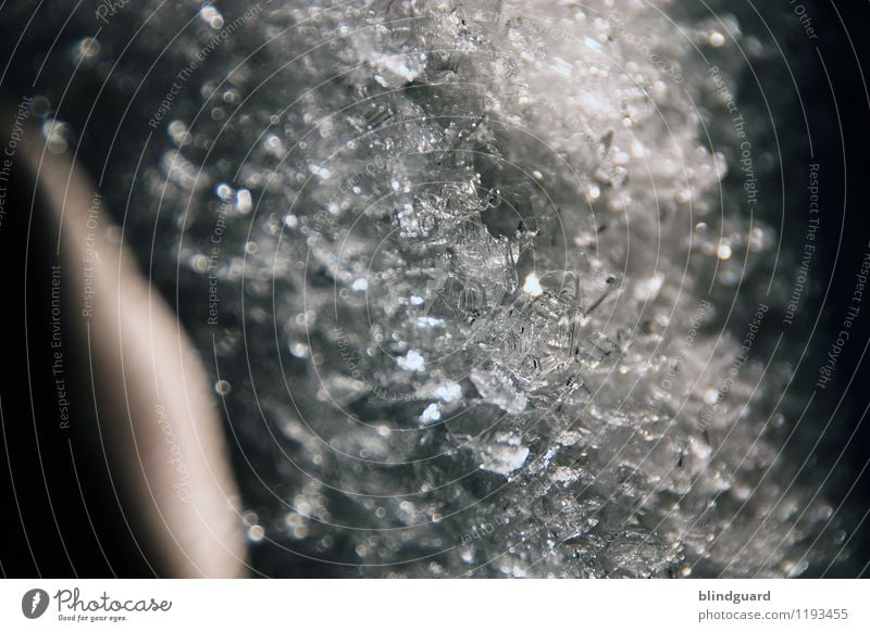Iced Earth Eis Frost grau schwarz weiß Vergänglichkeit kalt gefroren Eiskristall kühlschrank tauen Farbfoto Nahaufnahme Detailaufnahme Menschenleer Tag