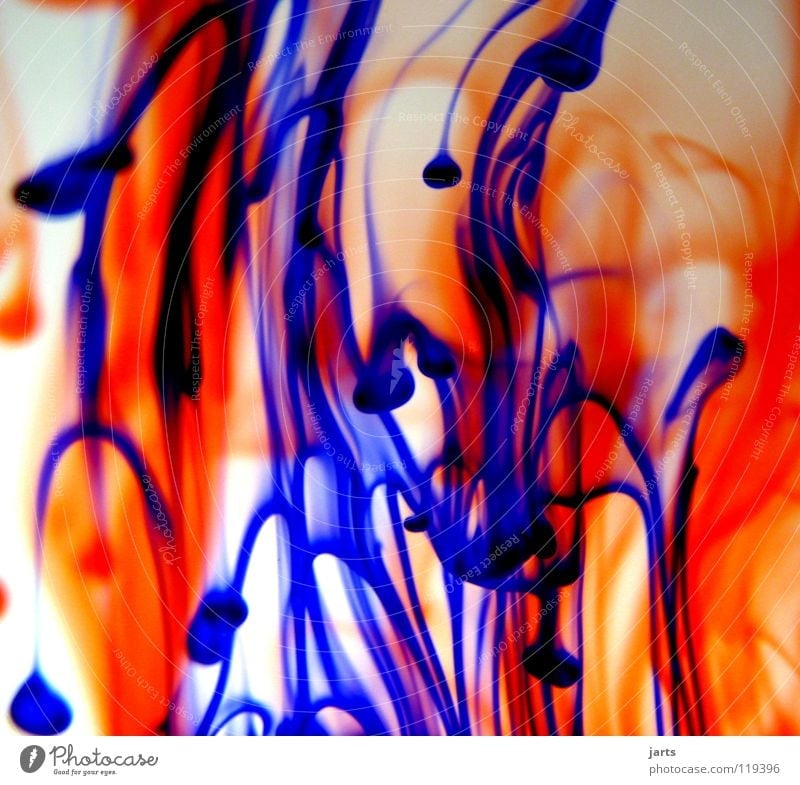 united colour mehrfarbig rot Tinte abstrakt Makroaufnahme Nahaufnahme schön Farbe blau orange Wasser jarts