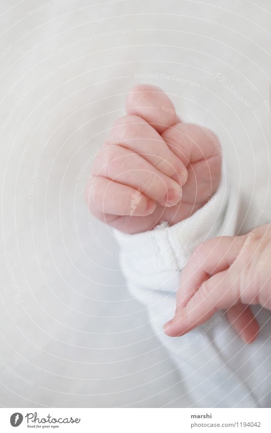 Patschehändchen Mensch Kind Baby Kleinkind Hand Finger 1 0-12 Monate Gefühle Stimmung Geburt Nachkommen klein schön Farbfoto Innenaufnahme Studioaufnahme