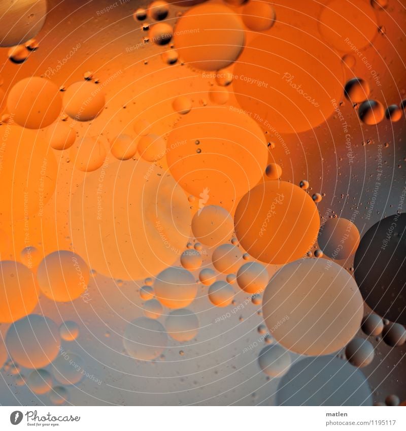 bubbly lll Wasser Tropfen braun grau orange Öl verteilt Blase Benachbart Kugel Farbfoto Nahaufnahme abstrakt Muster Strukturen & Formen Menschenleer Kontrast