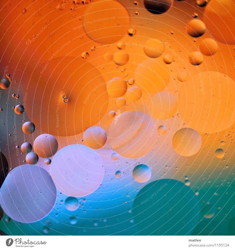 bubbly ll Öl blau grün orange weiß dispersion Wasser nebeneinander bubble abstrakt mehrfarbig Innenaufnahme Detailaufnahme Muster Strukturen & Formen