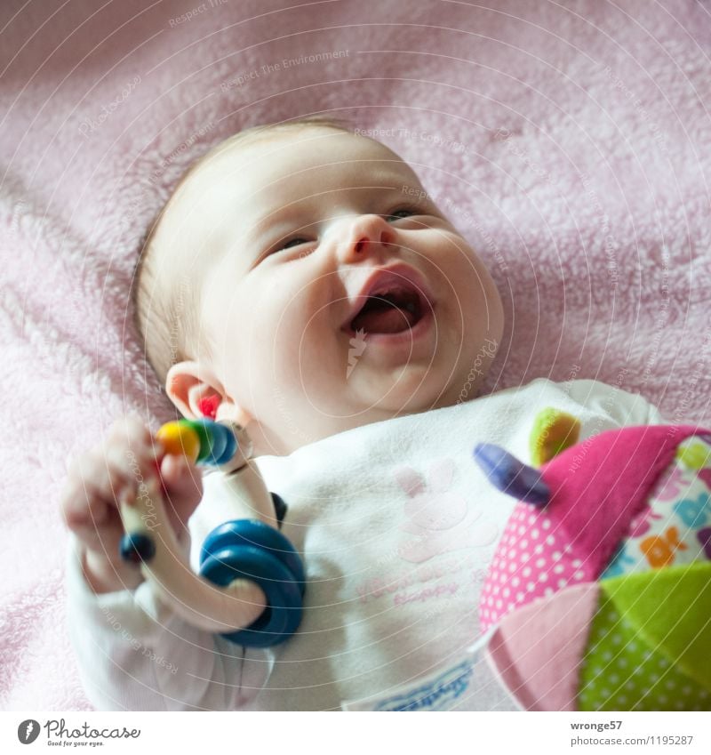 Kinderlachen Baby Mädchen Kopf Gesicht 1 Mensch 0-12 Monate Lächeln Fröhlichkeit Glück schön blau mehrfarbig grün rosa weiß Gefühle Freude Kleinkind Porträt