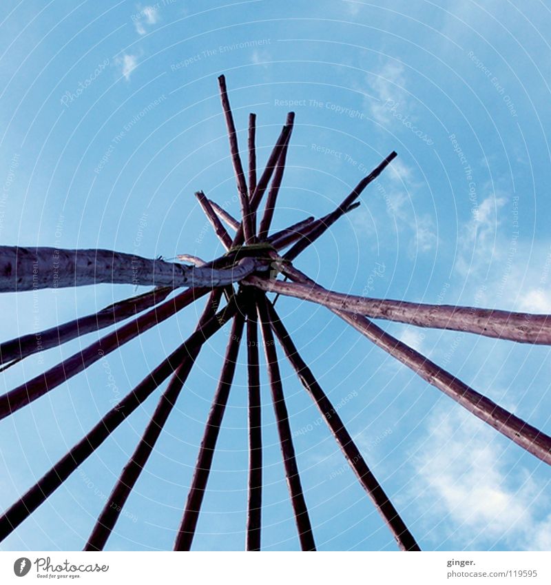 Yippie, es wird ein Tipi ! Ausstellung Himmel Holz bauen historisch blau Indianer gekreuzt Verbundenheit streben Stab himmelwärts Menschenleer Blauer Himmel