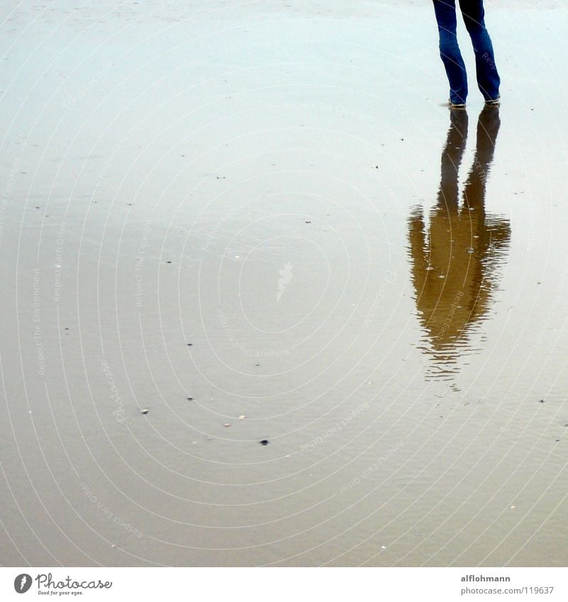 Wet Shadow Küste Niederlande Meer Reflexion & Spiegelung Frau Schuhe Hose Jacke Wattenmeer Seegras Wasser Fuß blau Sand Wind