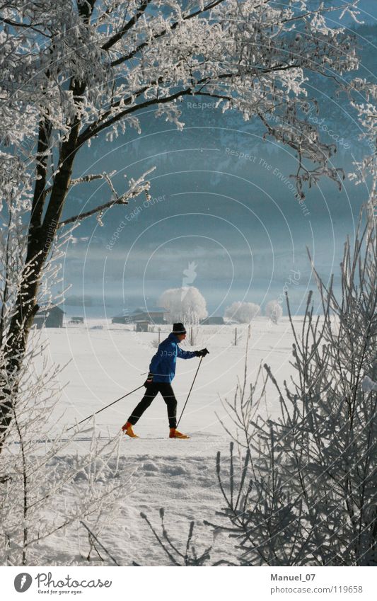 LANGER LAUF Gesundheit ruhig Ferien & Urlaub & Reisen Ausflug Freiheit Winter Schnee Winterurlaub Sport Wintersport Skifahren Skier Mensch maskulin