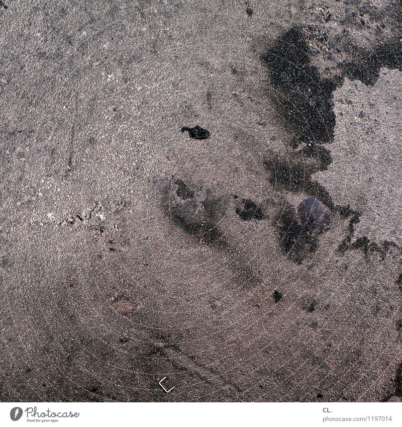 kladderadatsch Boden Stein dreckig authentisch grau komplex Farbfoto Außenaufnahme abstrakt Menschenleer Tag