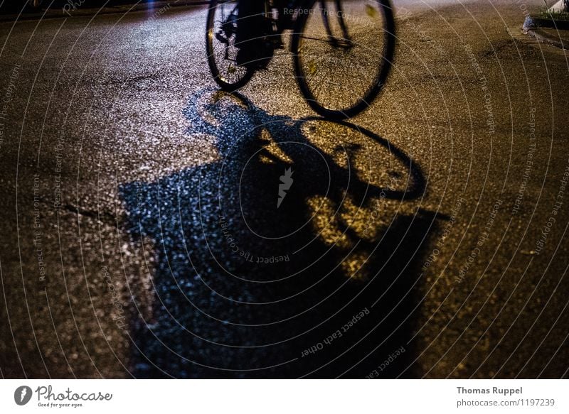 Fahrradfahren bei Nacht Freizeit & Hobby Nachtleben Veranstaltung ausgehen Mensch 1 Stadt Stadtzentrum Verkehrsmittel Verkehrswege Straße Straßenkreuzung