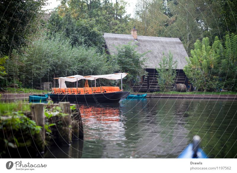 Spreewaldkahn Umwelt Natur Landschaft Wasser Lehde Lübbenau Dorf Menschenleer Bootsfahrt Sportboot Ruderboot Hafen fahren wandern blau braun grün