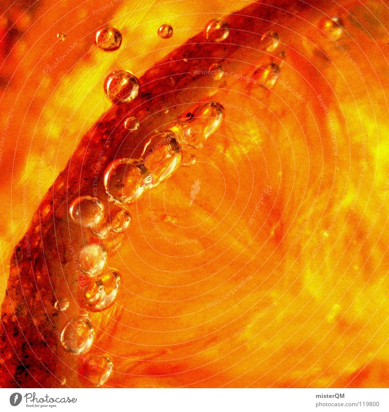 frozen orange tree II Orangenscheibe Luftblase leuchtende Farben Anschnitt Bildausschnitt Detailaufnahme Makroaufnahme Hintergrundbild Textfreiraum rechts