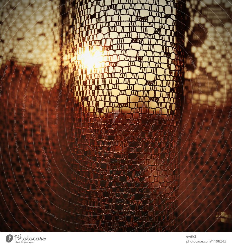 Gardinenpredigt Fenster hell Sonnenuntergang Abenddämmerung durchscheinend Sichtschutz Farbfoto Gedeckte Farben Innenaufnahme Muster Strukturen & Formen