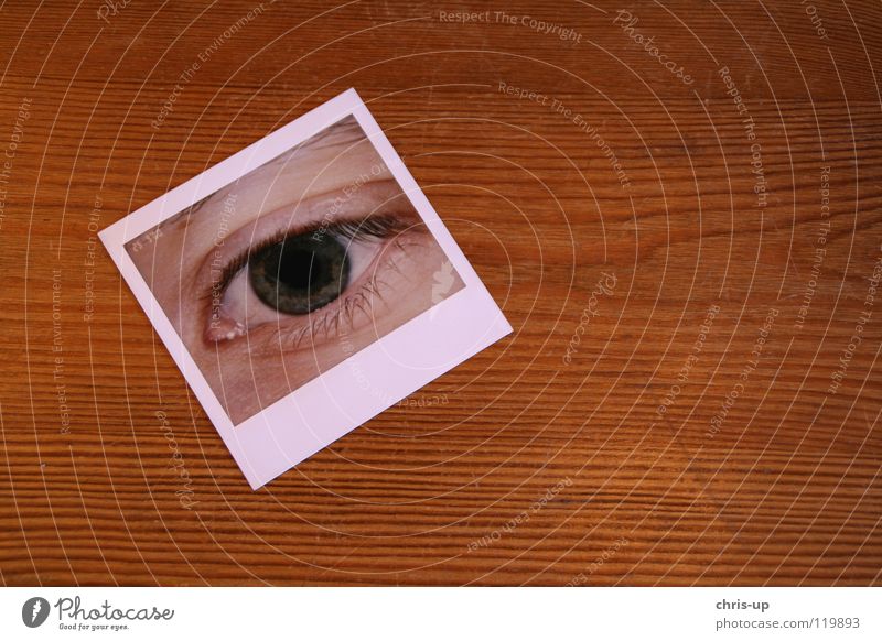 Mein Auge Pupille Wimpern Augenbraue Lidschatten grün Aussicht Durchblick Aussehen Blick Fotografie Sofortbildkamera Polaroid Tisch Holztisch Spiegel bildlich