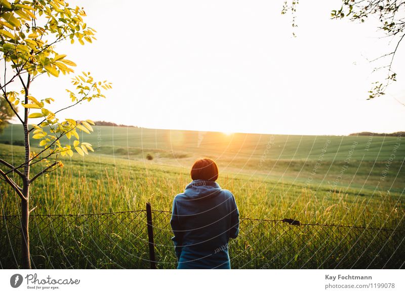 Junge Frau schaut auf ein Feld in der Abendsonne Wellness harmonisch Wohlgefühl Zufriedenheit Erholung ruhig Meditation Ferien & Urlaub & Reisen Ferne Freiheit